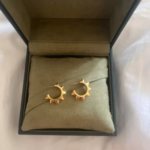 Peak Creoles S Gold  - Säljer dessa snygga örhängen från Edblad därav att jag inte använder guld❤️‍🔥 Aldrig använda men dock så är plupparna borta pga att jag behövde de till ett par andra örhängen🤍 Nypris 399, säljer de för 200 !