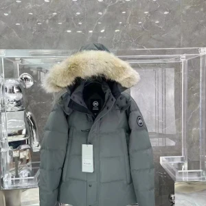 Grå dunjacka med päls från Canada Goose - Säljer en snygg grå dunjacka från Canada Goose med en lyxig pälsdetalj på huvan. Jackan har långa ärmar och en stilren design med både dragkedja och knappar. Perfekt för kalla vinterdagar! 🧥❄️