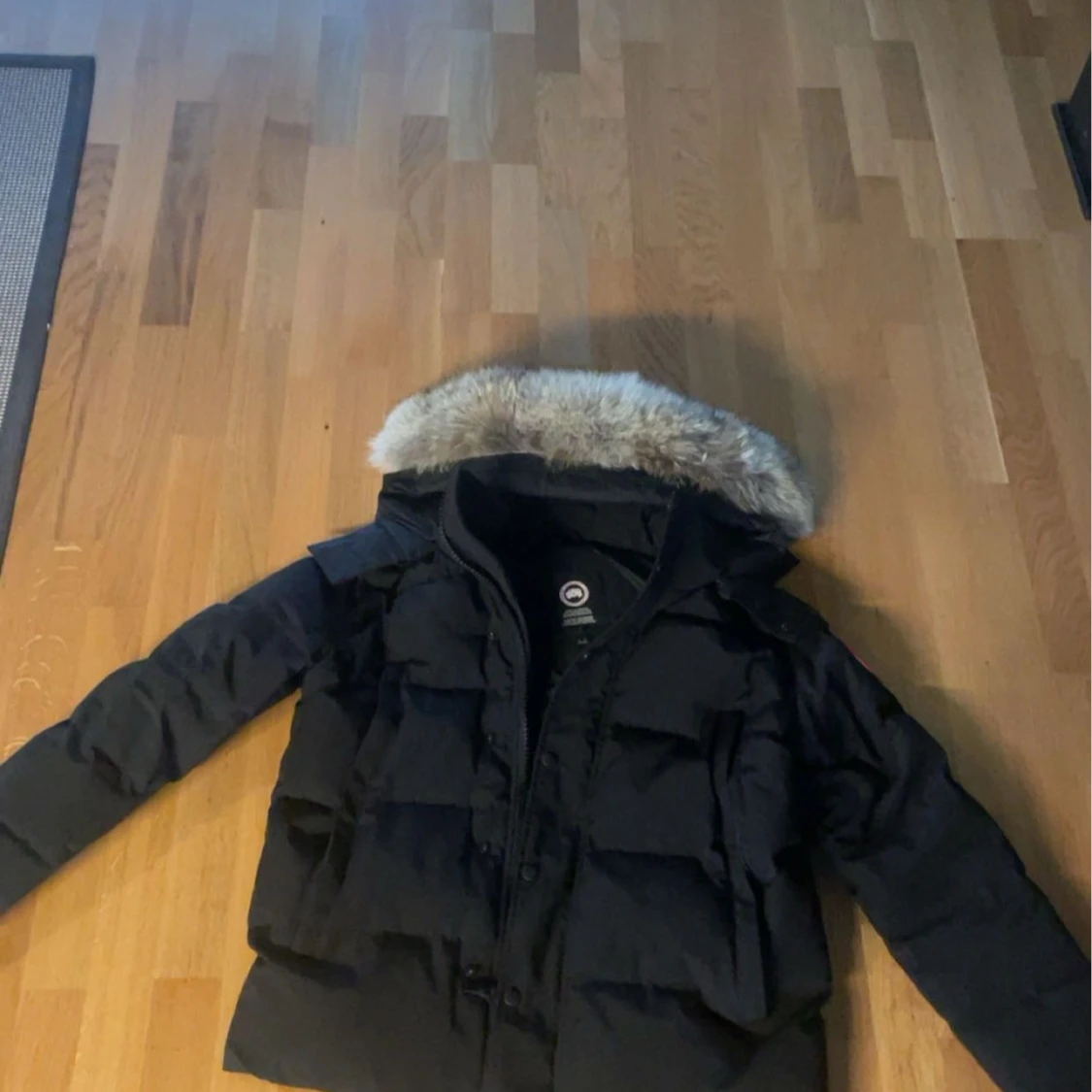 Canada goose dunjacka - 1