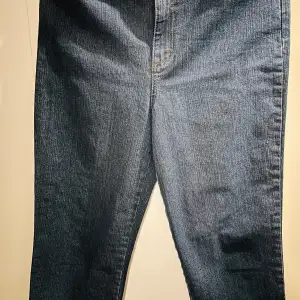 Säljer ett par klassiska blå ankellånga jeans från Bandolino Blu. De är i en snygg mörkblå nyans och har en rak passform. Perfekta för både vardag och lite mer uppklädda tillfällen 