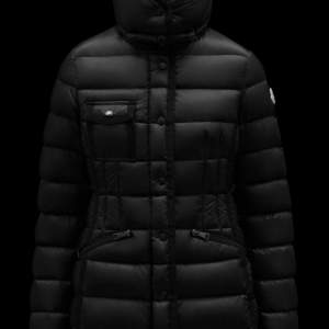 Moncler hermine long down jacket 