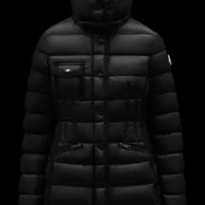 Moncler hermine long down jacket 