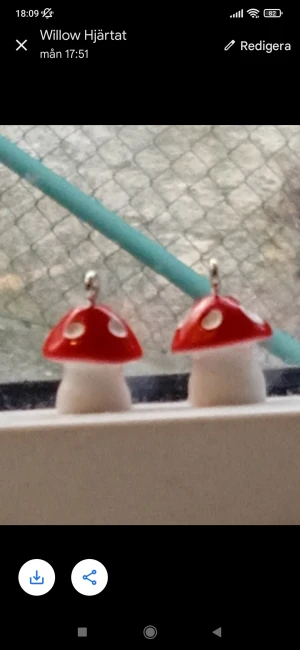 🍄Kawaii Mushroom berlocker🍄 - 🍄Två mushroom berlcoker🍄Alla ordrar får med en gåva🍄