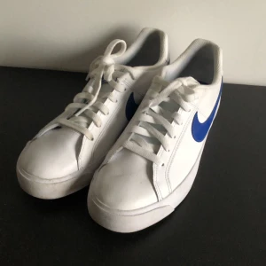 Nike skor  - Jag säljer ett par Nike skor som är använda några gånger 