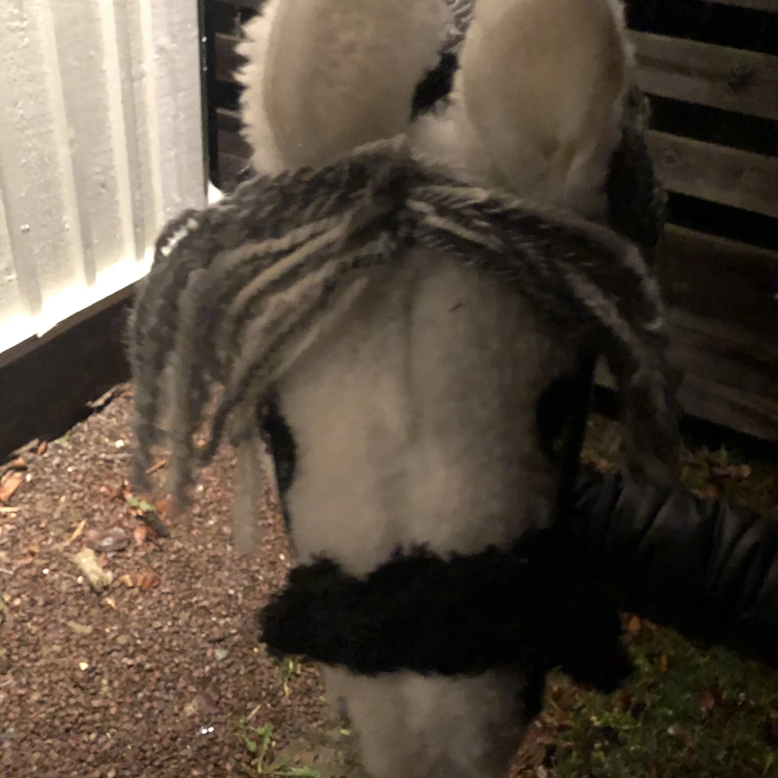 Käpphäst❤️ - 91