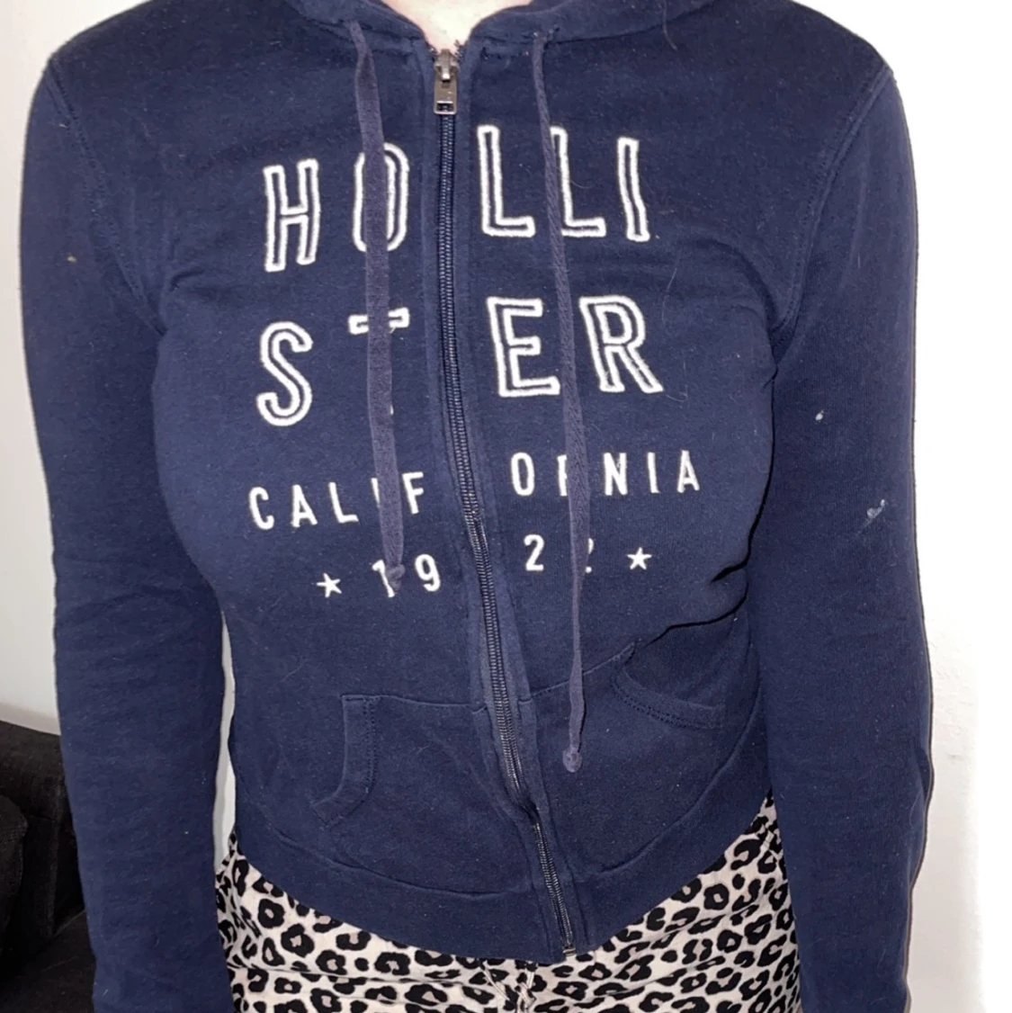 Hollister 