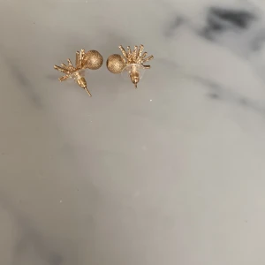 Örhängen - Örhängen aldrig använt