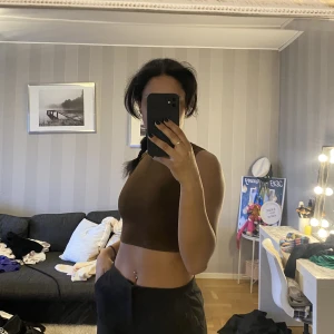 Brun topp från Zara - Söt liten topp från Zara, knappast använd då jag har en liknande 