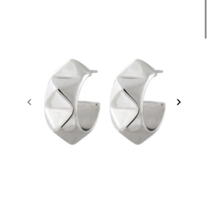 Edblad örhängen  - Peak Rivet Creoles Steel örhängen ifrån Edblad, aldrig använt 💓