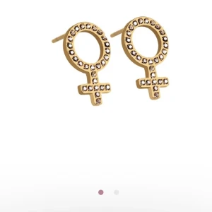 Me studs gold  - Helt nya Edblad örhängen i guld! Fick i julklapp men säljer för att jag gillar silver mer en guld ✨ aldrig använda, kan byta mot Edblad peak creoles örhängen 💕
