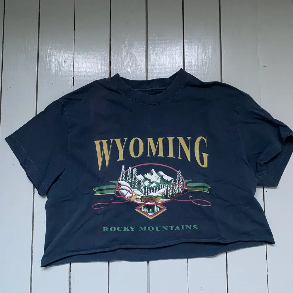 Bekväm Cropped Brandy Melville Wyoming t-shirt, Mörkblå. Använd, perfekt skick . T-shirts.