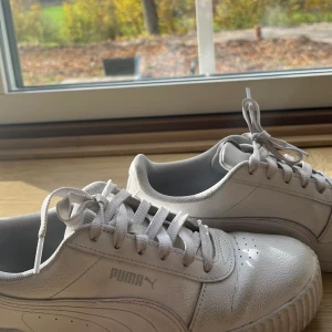 Snygga puma skor - Säljer dessa puma skorna för de inte kommit till användning. Använts några gånger. Skorna är hela.