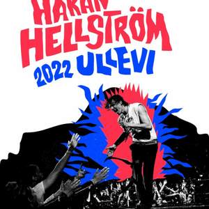 Säljer 2 stycken biljetter till Håkan Hellström, 26 Augusti ståplatser. 500kr styck, pris kan diskuteras💙💙