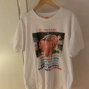 Säljer Supreme t shirt som är inköpt på PMP i Sthlm sommaren 21 Använd en del och cond är ca 7/10 Köptes för 750 kr Pris kan diskuteras 