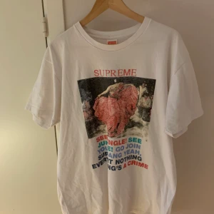 Supreme - Säljer Supreme t shirt som är inköpt på PMP i Sthlm sommaren 21 Använd en del och cond är ca 7/10 Köptes för 750 kr Pris kan diskuteras 