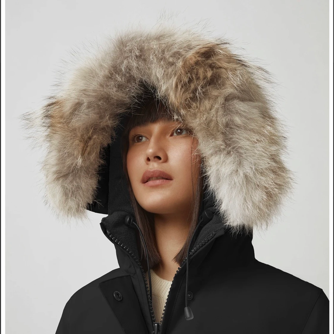 Canada goose, Victoria Parka  - 90