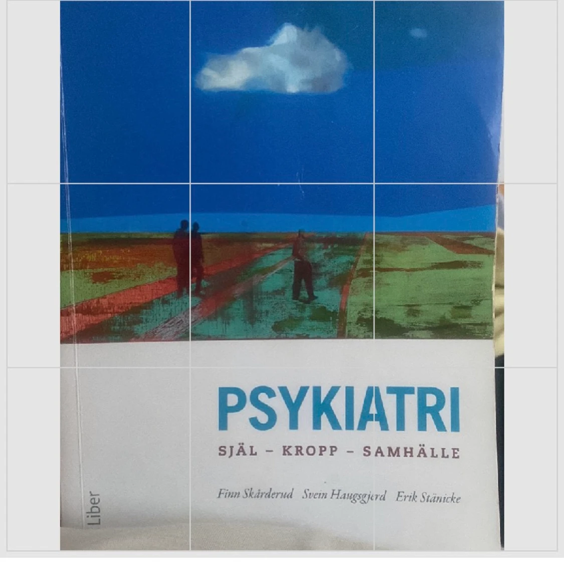 Litteraturböcker Socialpedagog/Behandlingspedagog - 91