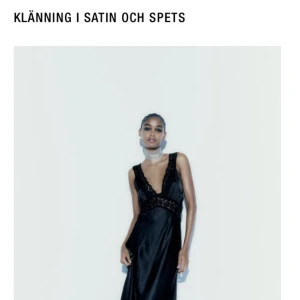 Sökes klänning - ⚠️söker denna svarta lång klänning från zara i storlek L eller XL!!!⚠️ kan betala bra! Hör av er❤️