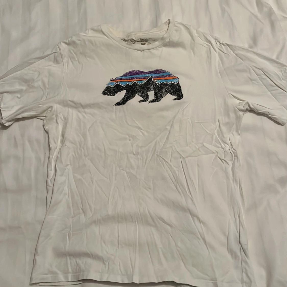 Patagonia t-shirt