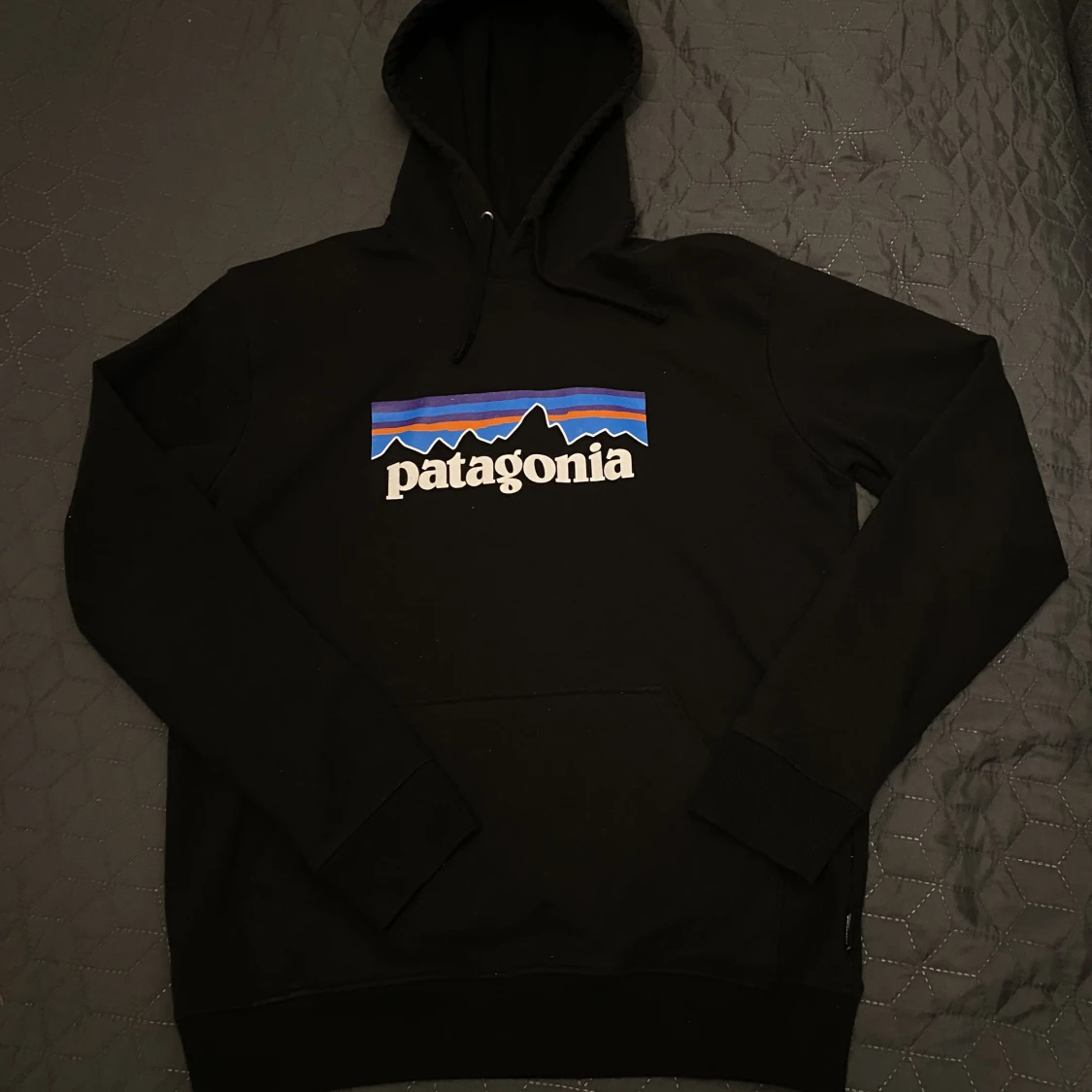 Patagonia Hoddie