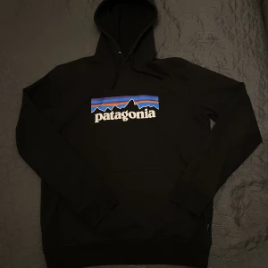 Patagonia Hoddie - Bra skick