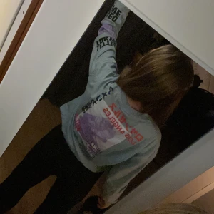 Urban outfitters - Ljusblå tröja med lång ärm och tryck på ryggen, fint sick. skickar gärna fler bilder vid förfrågan