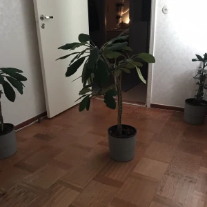 Växt  - Ca 1 meter högt Kruka ingår ej 
