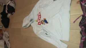 Levis Hoodie - Den e använd en tröjan är i bra skick ÄKTA .