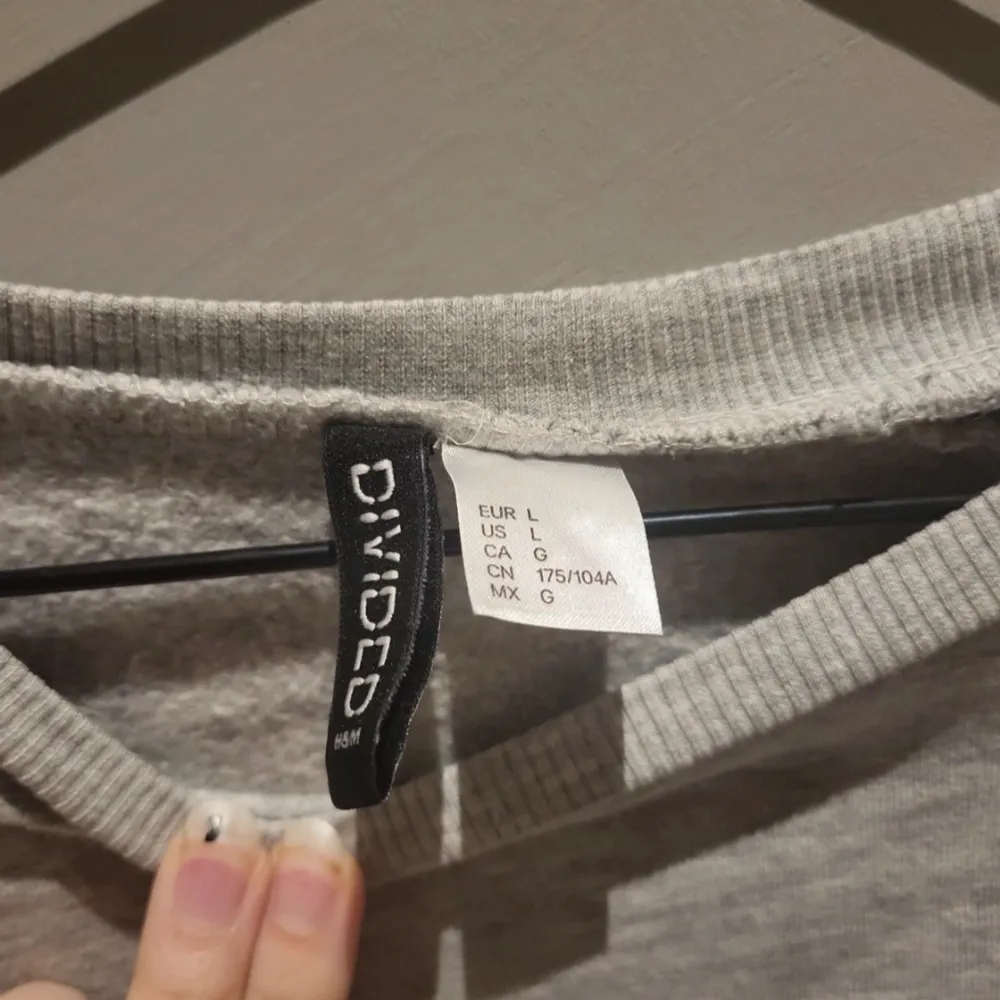 En grå tröja från H&M i storlek L. Lite använd och har några lösa trådar, annars är den i bra skick. . Hoodies.