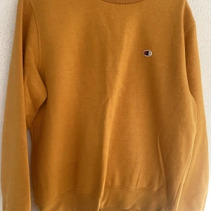 Vintage Champion sweatshirt  - Bra skick, inga synliga flaws. 