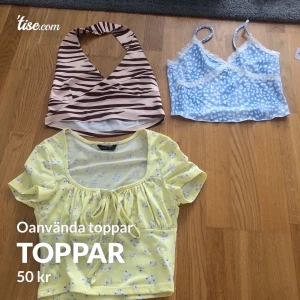 Toppar  - 50kr/st 