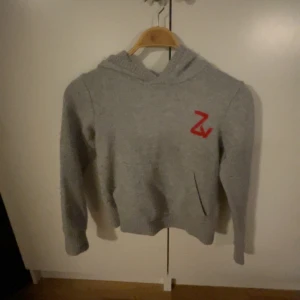 ZADIG TRÖJA - Säljer min jätte coola Zadig & Voltaire tröja som jag fick förra året i present! Super bra skick knappt använd