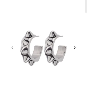 Edblad örhängen - Jag säljer mina Edblad örhängen. Använda men i fint skick. Köpta för 349kr, säljer för 200+ frakt. 💕💕