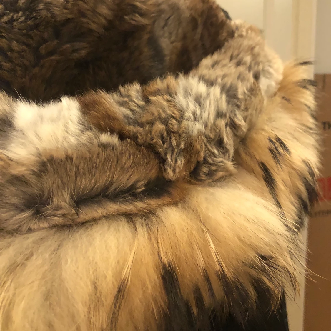 Parajumper Long bear - 90