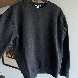 Tröja - Basic, tjockare tröja från hm i lite gråspräcklig färg. Passar till allt!