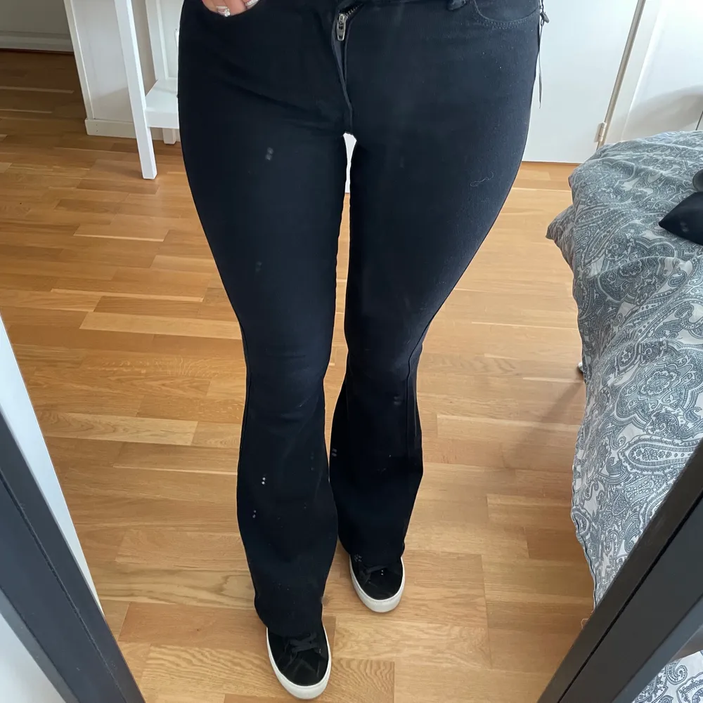 Helt nya lågmidjade bootcut jeans från Dr Denim storlek 32 men passar nog bättre en 34. Jeans & Byxor.