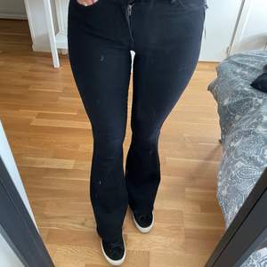 Helt nya lågmidjade bootcut jeans från Dr Denim storlek 32 men passar nog bättre en 34