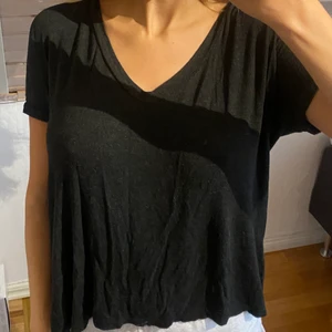 T-shirt brandy Melville  - T-shirt från brandy Melville. One size. Den lägger sig tight över bröstkorgen och sedan gånger den löst över mage/rygg. Använd några gånger men bra skick. Den är typ mörkgrå-svart