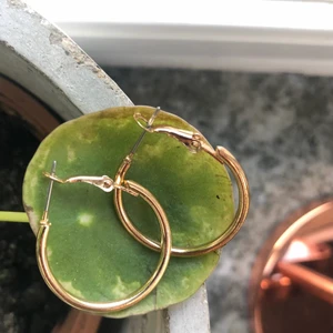 Örhängen  - Köp ej om du är allergisk mot äkta/fejk