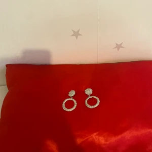 Örhängen  - Jätte fina silvriga örhängen ger en jätte bra partyvibe och passar med jättemånga kläder frakten blir 13 kr men priset kan diskuteras 