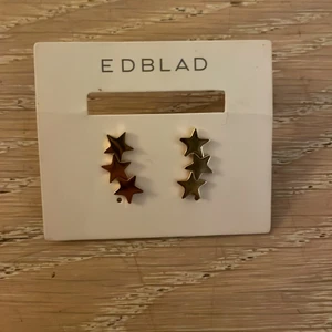 Edblad örhängen  - Superfynd!! Har aldrig använd de köpte de till en kompis med det blev fel typ av örhängen. Köpte för 350 och säljer för 150 helt nya. 