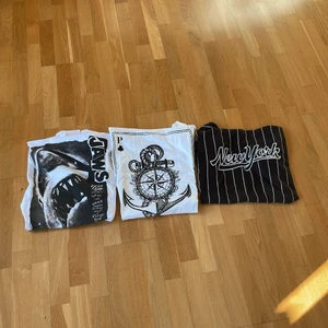T-shirts  - Alla tre tröjorna för 250kr eller 100kr/stk Köparen står för frakt.