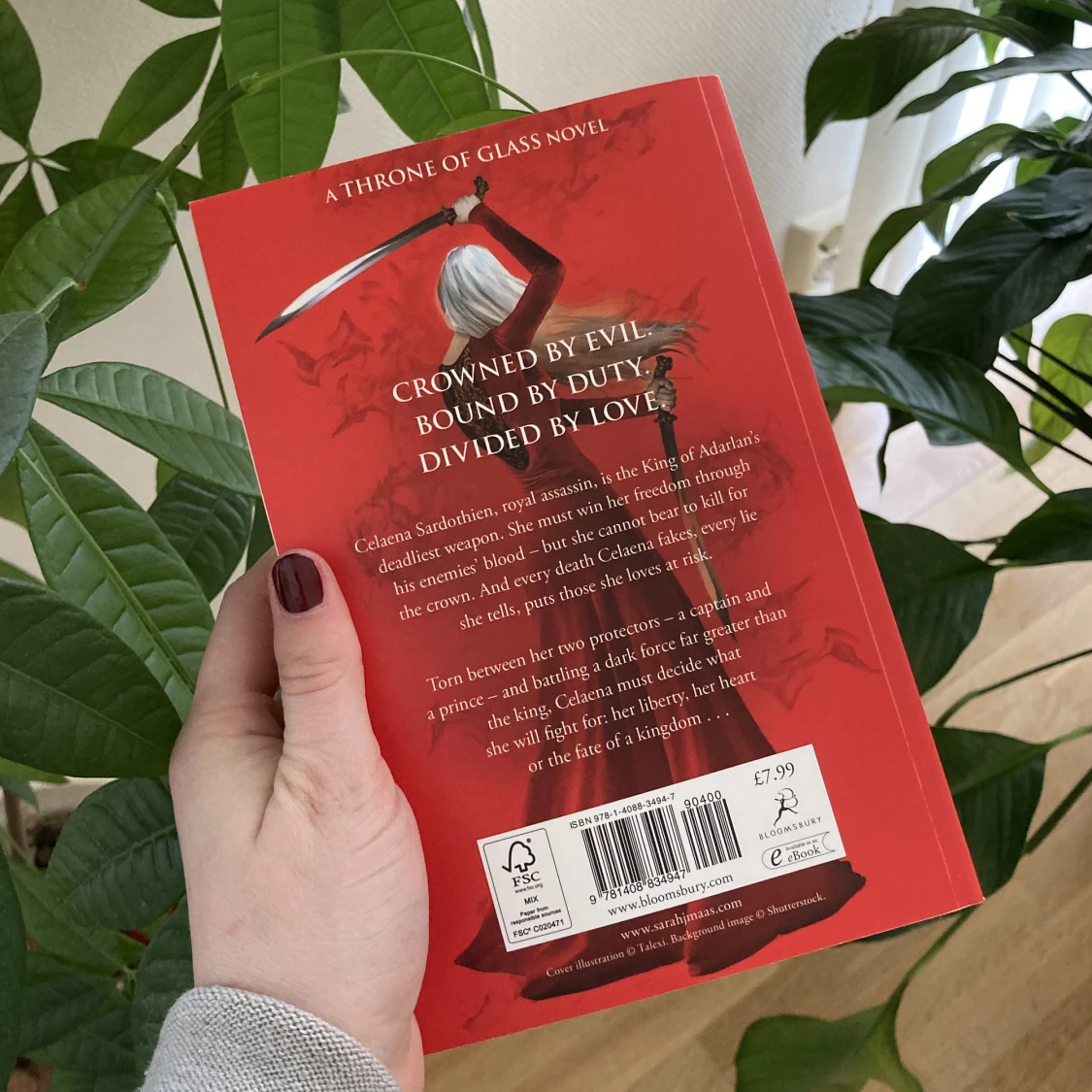 Brown of midnight - 90