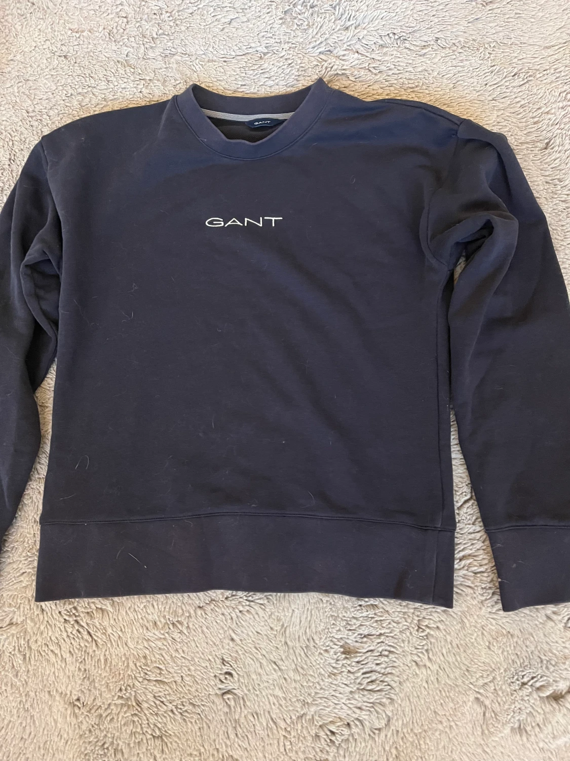 Gant hoodie