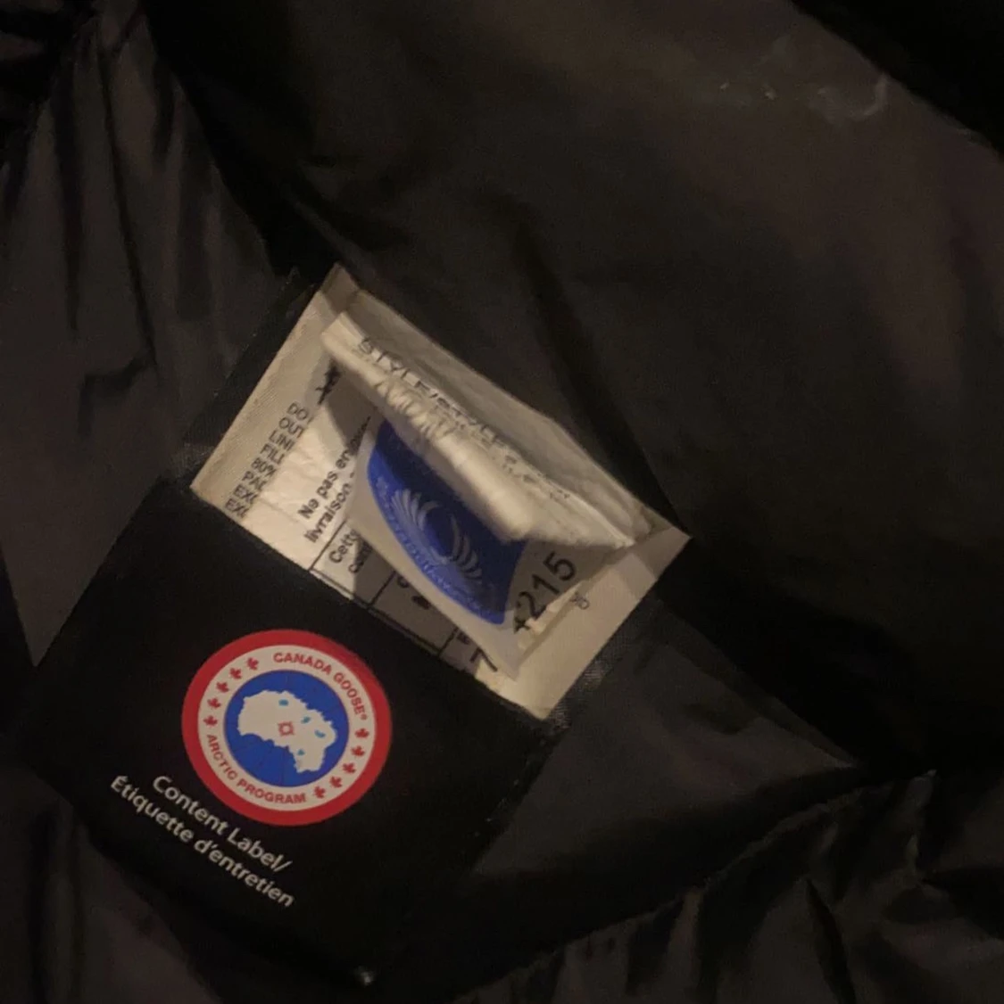 Canada goose jacka dam - 91