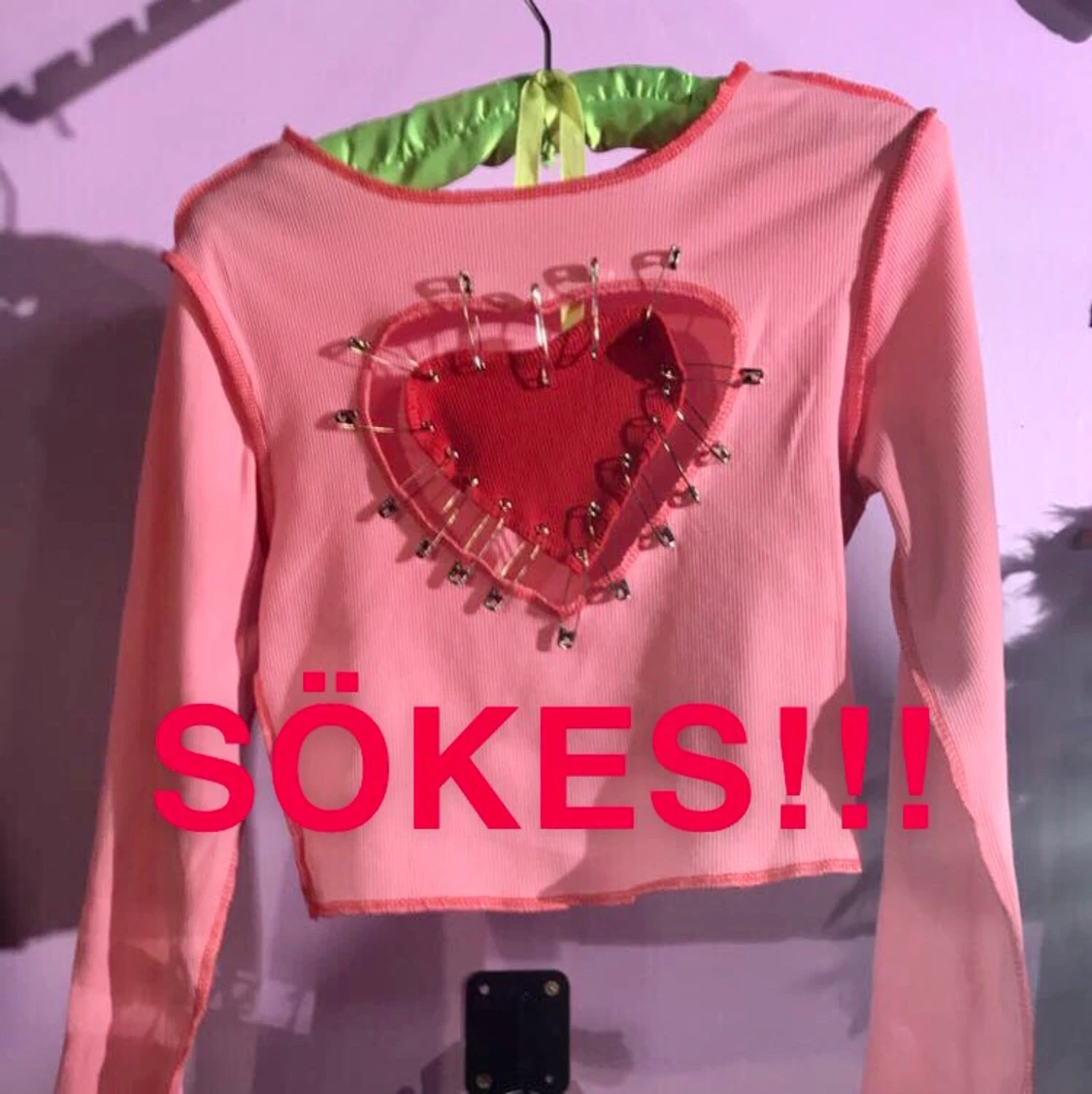 SÖKER denhär/liknande tröja