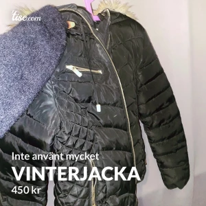 Vinterjacka  - Mycket bra skick , använt knappt i en vinter 