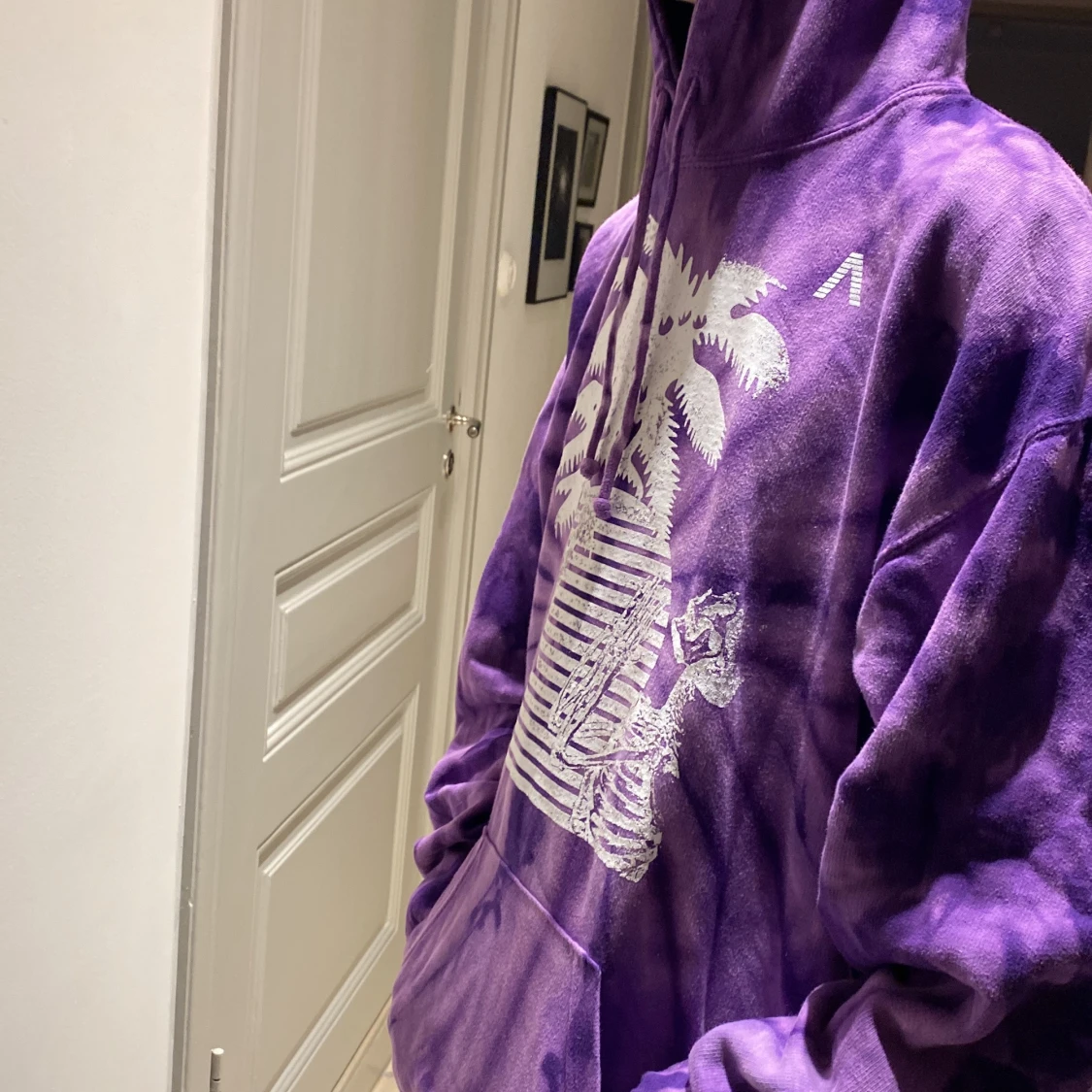 Axwell A Ingrosso Hooodie merchandise  - 90