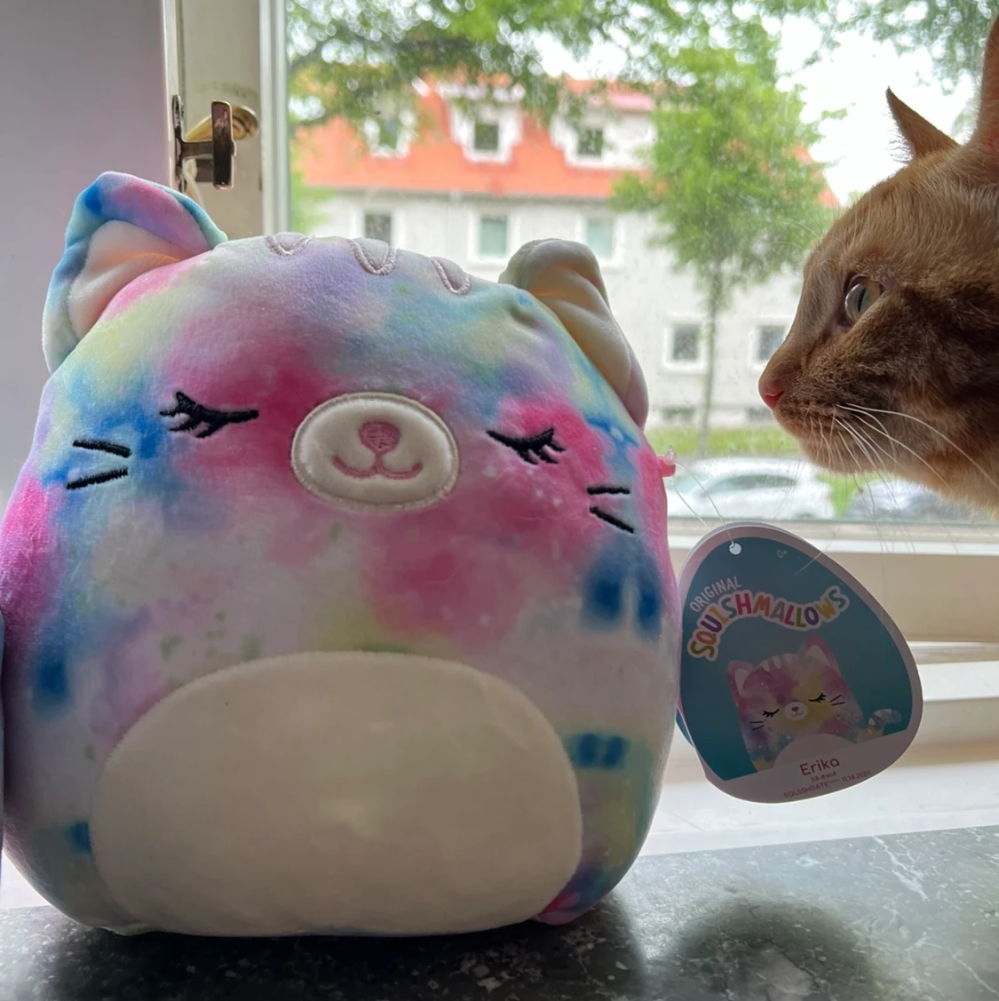 Squishmallow 