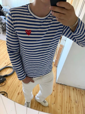 Randig långärmad tröja - Säljer en blåvit randig långärmad tröja  från comme des garçons, den är i storlek L och är i jättebra skick utan något att anmärka på